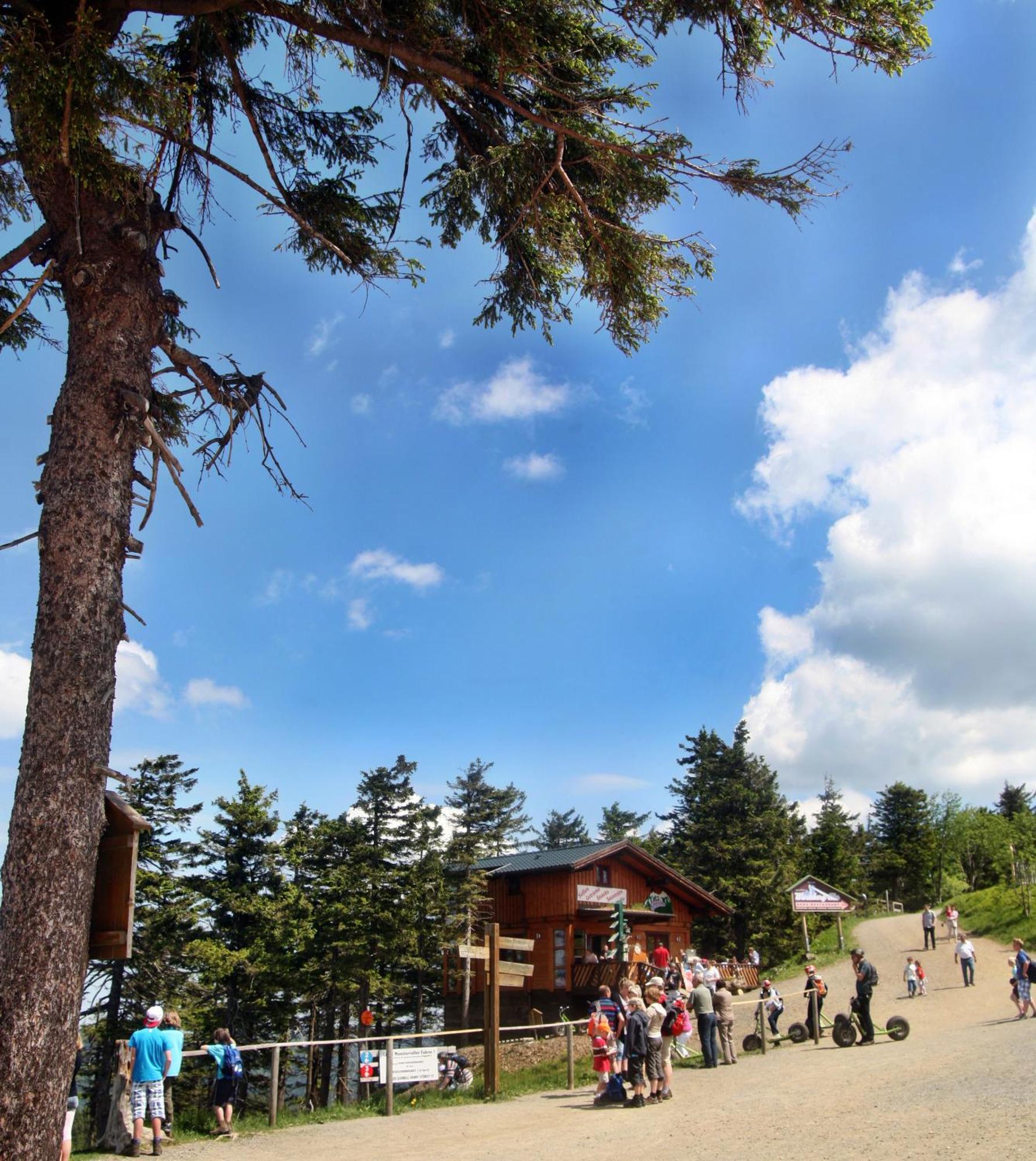 Relexa Hotel Harz-Wald Braunlage Gmbh Exterior photo